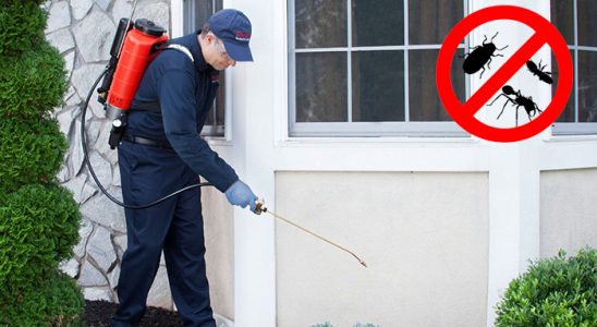 Gürsu Dezenfeksiyon böcek ilaçlama ve haşere kontrolü — ilaclama-tr.com
